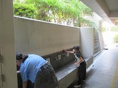 IMG_1676.jpg