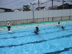IMG_1689.jpg