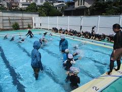 IMG_1593.jpg