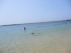 IMG_2006.jpg