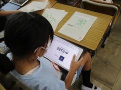 IMG_1616.jpg