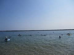 IMG_1858.jpg