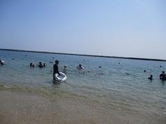 IMG_1788.jpg