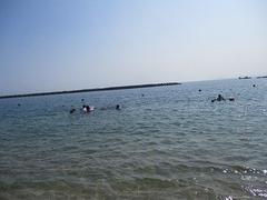 IMG_1852.jpg