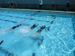 IMG_1582.jpg