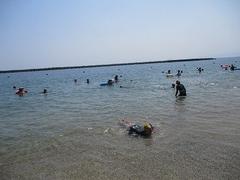 IMG_1798.jpg