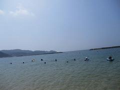 IMG_1987.jpg
