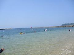 IMG_2029.jpg