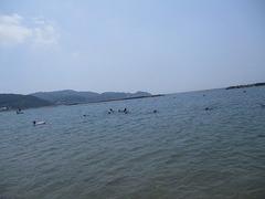 IMG_2038.jpg