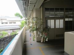 IMG_1547.jpg