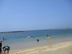 IMG_1950.jpg