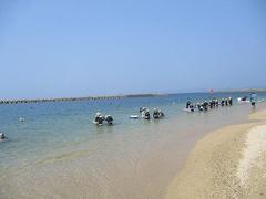 IMG_1931.jpg