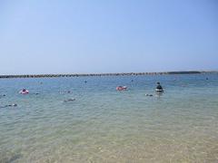 IMG_1996.jpg
