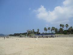 IMG_2058.jpg