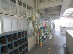 IMG_1548.jpg