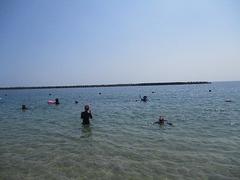 IMG_1815.jpg