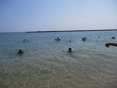 IMG_1796.jpg