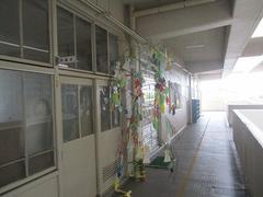 IMG_1549.jpg