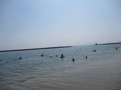 IMG_1827.jpg
