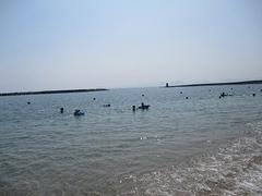 IMG_1828.jpg