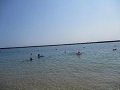 IMG_1835.jpg