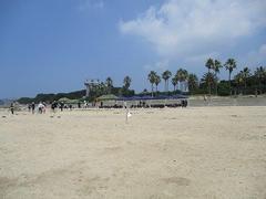 IMG_2055.jpg