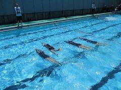 IMG_1581.jpg