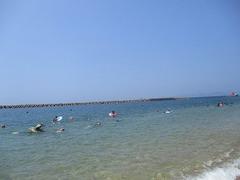 IMG_1981.jpg