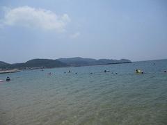 IMG_2036.jpg