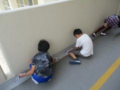 IMG_1672.jpg