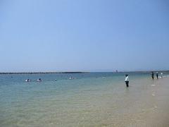 IMG_2057.jpg