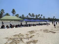IMG_2065.jpg