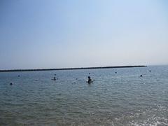 IMG_1836.jpg