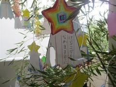 IMG_1550.jpg