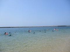 IMG_1974.jpg