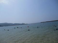 IMG_1984.jpg