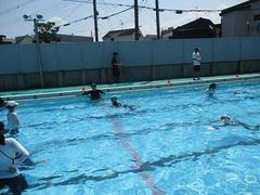 IMG_1737.jpg