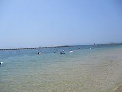 IMG_2051.jpg