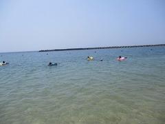 IMG_2049.jpg