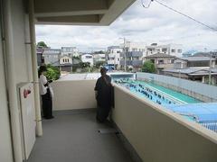 IMG_2214.jpg