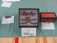 IMG_2202.JPG