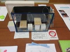 IMG_2468.jpg
