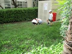 IMG_2597.jpg