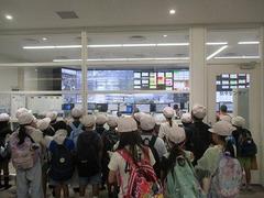IMG_2326.jpg