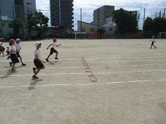 IMG_2600.jpg