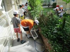 IMG_2596.jpg