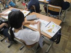 IMG_2246.jpg