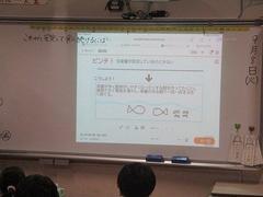 IMG_2391.jpg