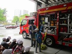 IMG_2316.jpg