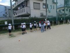 IMG_2584.jpg